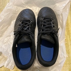 NIKE 体育館用　
サッカーシューズの画像
