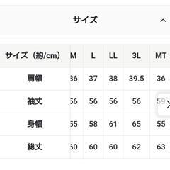 フェリシモ サニークラウズ ブラウスの画像