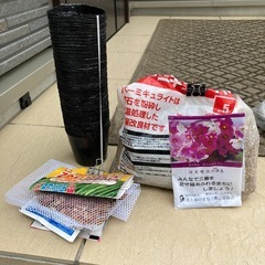 園芸　いろいろ