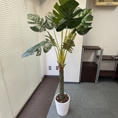 大型 観葉植物　人工（フェイク）の画像