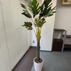 大型 観葉植物　人工（フェイク）の画像