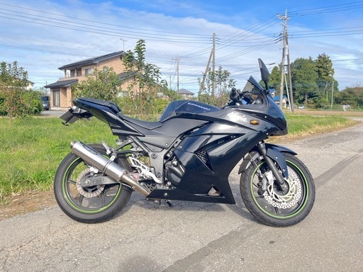 カワサキ　ニンジャ　250 始動確認　バイク　中古