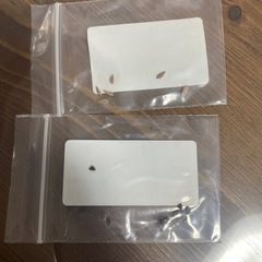 植物の種子の画像