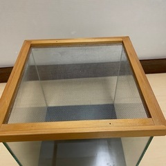 お渡し予定25キューブオールガラス水槽の画像