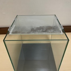 お渡し予定25キューブオールガラス水槽