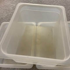 フード容器