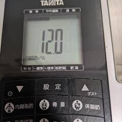 TANITA 体組成計 インナースキャン50 シルバー BC-303-SVの画像
