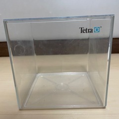 テトラ小型水槽18キューブの画像