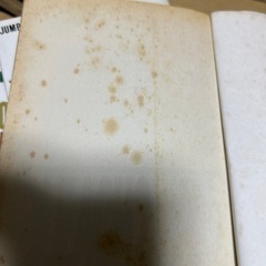 ブリーチの画像