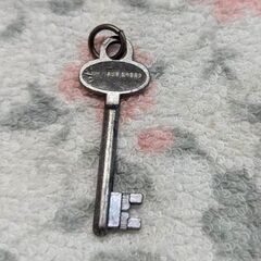 ☆映画　弟切草　ノベルティ　キーホルダーの欠片　中古品　の画像