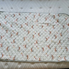 2枚セット レギュラーサイズ敷きパットの画像