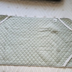 2枚セット レギュラーサイズ敷きパットの画像