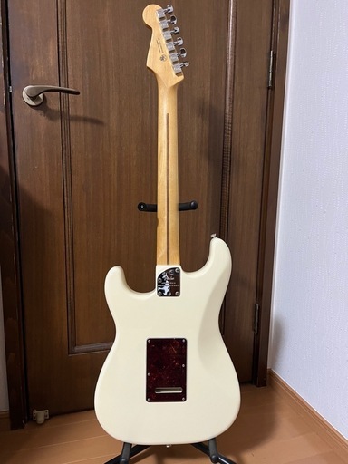 fender 
American Professional II stratocaster