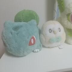 ポケモン ぬいぐるみ 5種まとめての画像