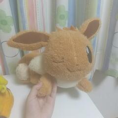ポケモン ぬいぐるみ 5種まとめての画像