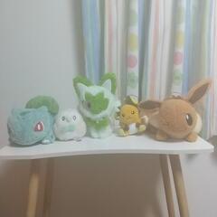 ポケモン ぬいぐるみ 5種まとめて