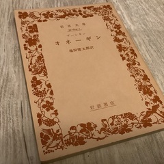 オネーギン　岩波文庫　プーシキン