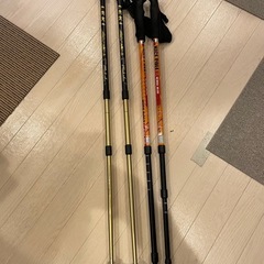 トレッキングポール　2セット
