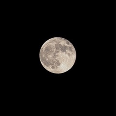 シグマ 100-400mm F5-6.3 DG OS HSM Contemporary キヤノンEF用