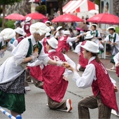 よさこい見学・体験したい方を大募集(^^) − 富山県
