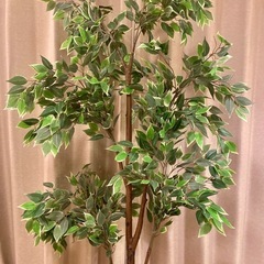 ※お譲り先決定【屋内使用】フェイクグリーン／人工観葉植物