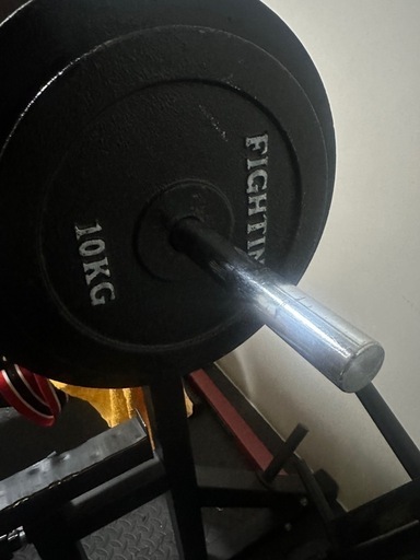 ファイティングロード10キロプレート4枚セット