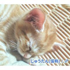 ありがとうございました🍠🍠