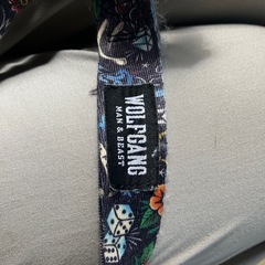 wolf gang harness
