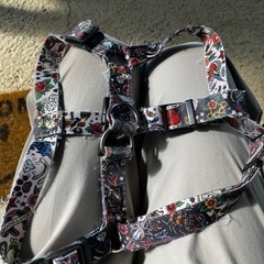 wolf gang harness
の画像