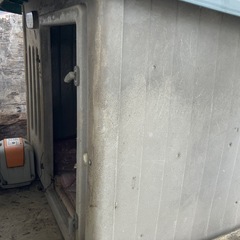 犬小屋の画像