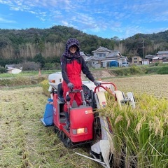 完売しました。新米 ひのひかり30kg玄米②