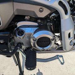 ハンターカブ ct125 アーマードシルバー 1年未満の画像