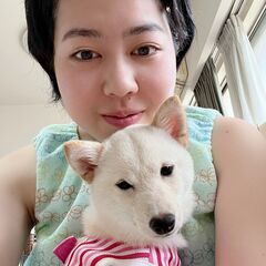 韓国の方とお友達になりたいです！