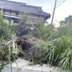 庭石 巨石 の画像