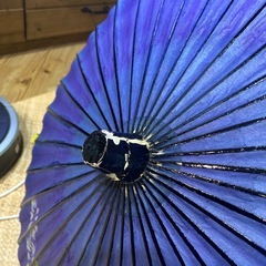 和傘　絹張傘　羽二重傘　2本組の画像