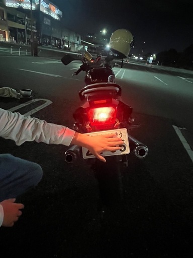 zzr250 ネイキッド仕様