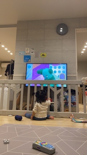 doridori ベビーサークル バーチ 扉付き