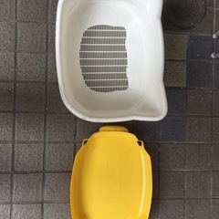 猫のトイレの画像