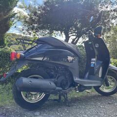 🛵HONDAトゥディー50‼️通勤通学配達‼️町乗り‼️早い者勝ち‼️の画像