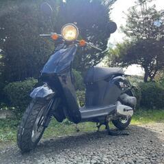 🛵HONDAトゥディー50‼️通勤通学配達‼️町乗り‼️早い者勝ち‼️の画像