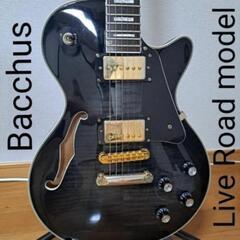 Bacchus セミアコギター ケース等付き