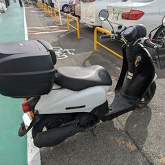 ☆値下げ☆最終値段【11月中旬まで】ホンダ　トゥデイ　50cc　原付の画像