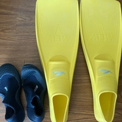 ダイビングフィン