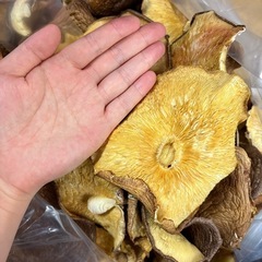 干し椎茸500g
