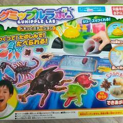 グミップルラボ　昆虫　カブトムシ　カエル