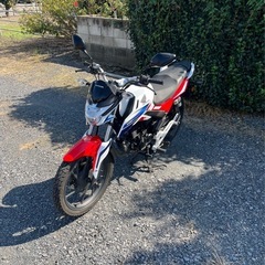 909.　動画あり　ホンダ CBF125R  超低走行　小型　バイク　125cc  車体の画像