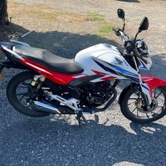 909.　動画あり　ホンダ CBF125R  超低走行　小型　バイク　125cc  車体の画像