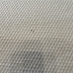 トゥルースリーパー　セブンスピローロー　枕の画像