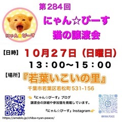 10月27日(日)🌸にゃん☆ぴーす猫の譲渡会🌸『若葉いこいの里』...
