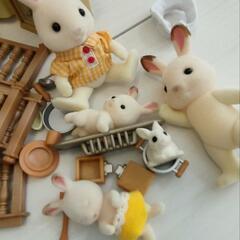 シルバニアの画像